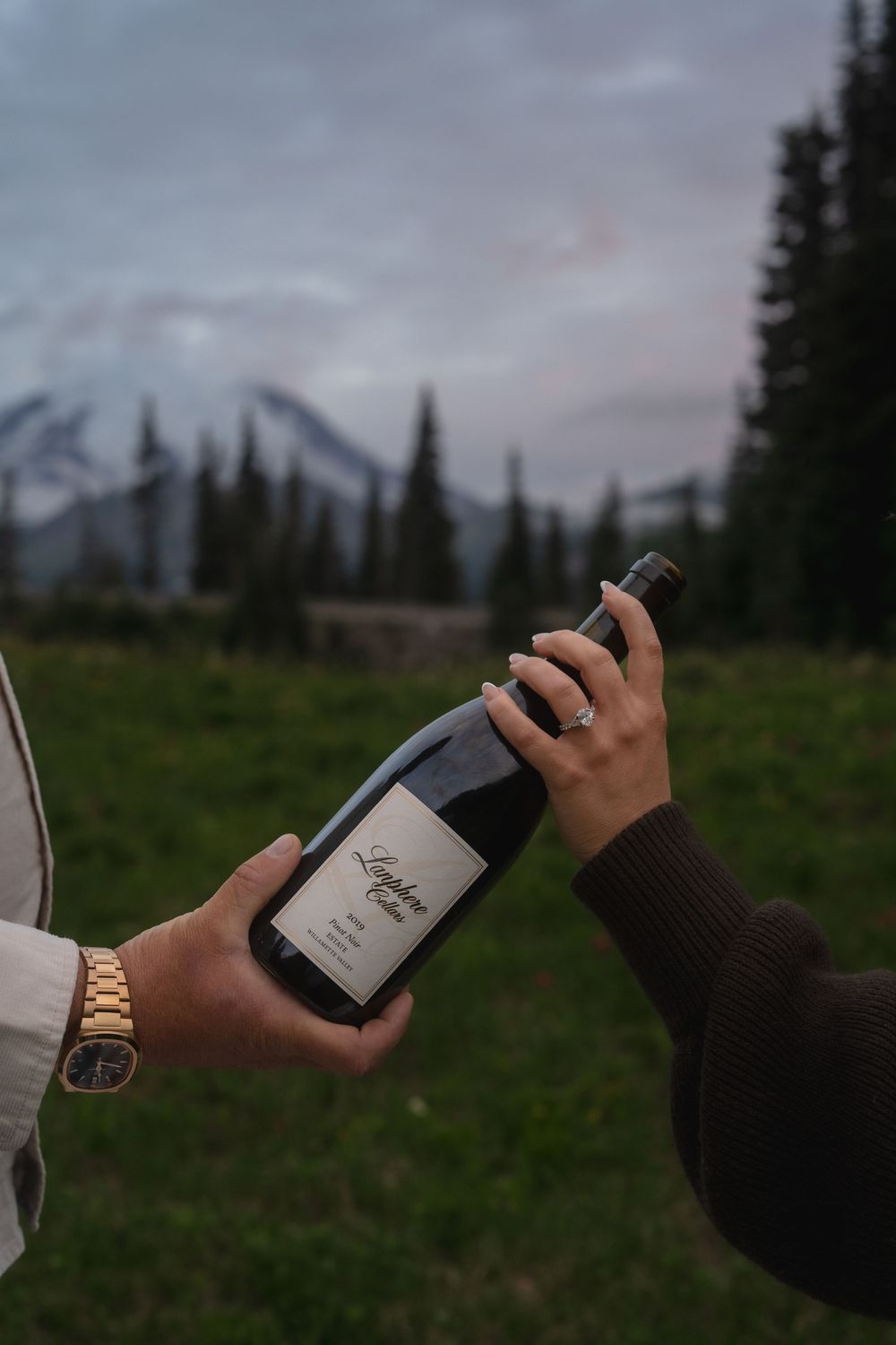 Hand holding silver water bottle or flask against mountain landscape with evergreen trees at sunset.