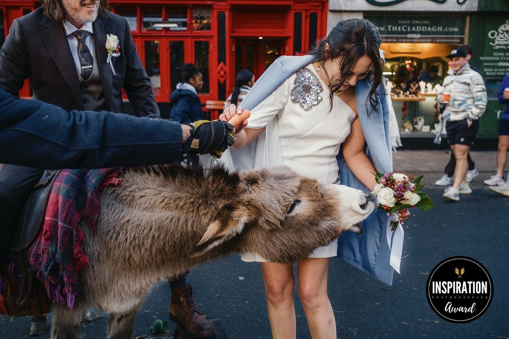 A large brown furry dog leans in affectionately to someone wearing a white dress on a city street.