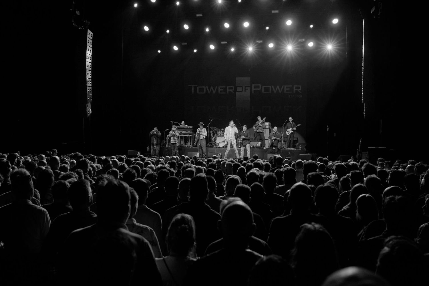 concertfotograaf