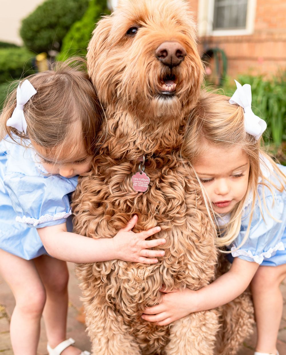 family-photographer-annandale.jpg