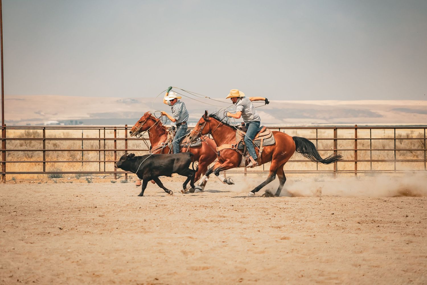 Branded Shutter photography by Kelsie Taylor