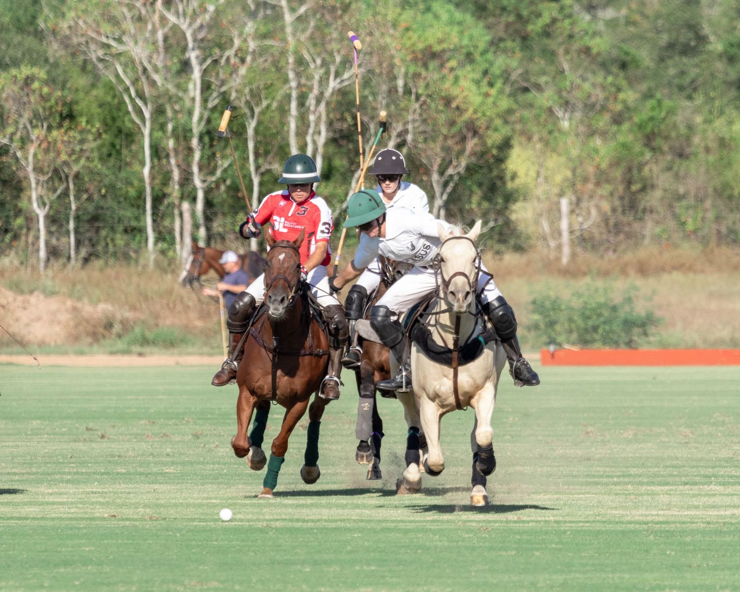 Polo