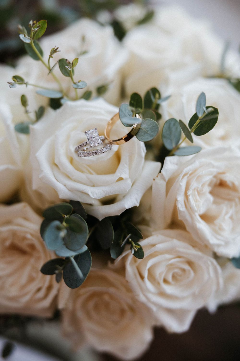 Wedding rings nestled in a white rose bloom surrounded by a bouquet of cream roses and eucalyptus.