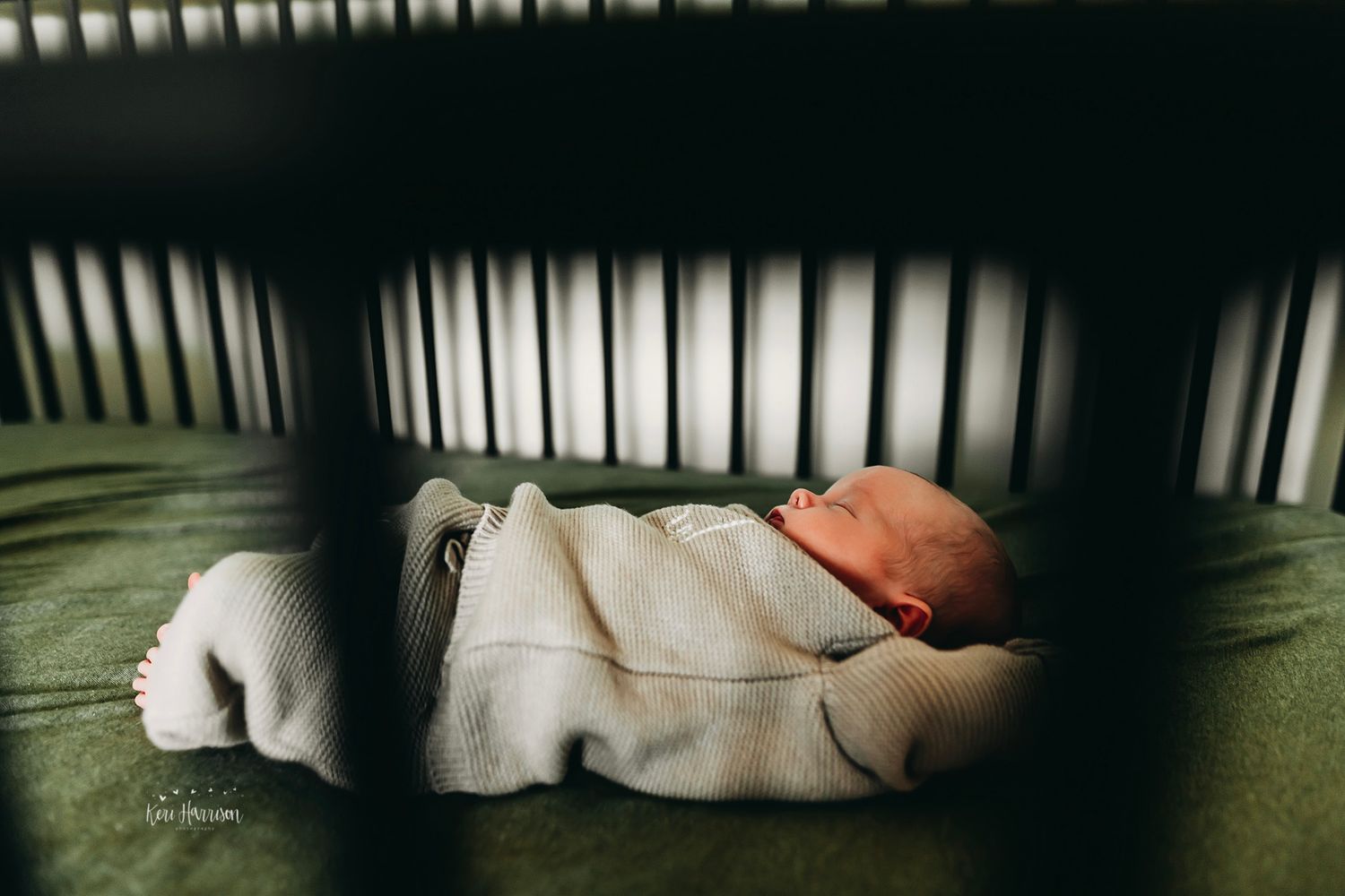 Ann Arbor Newborn Photographer