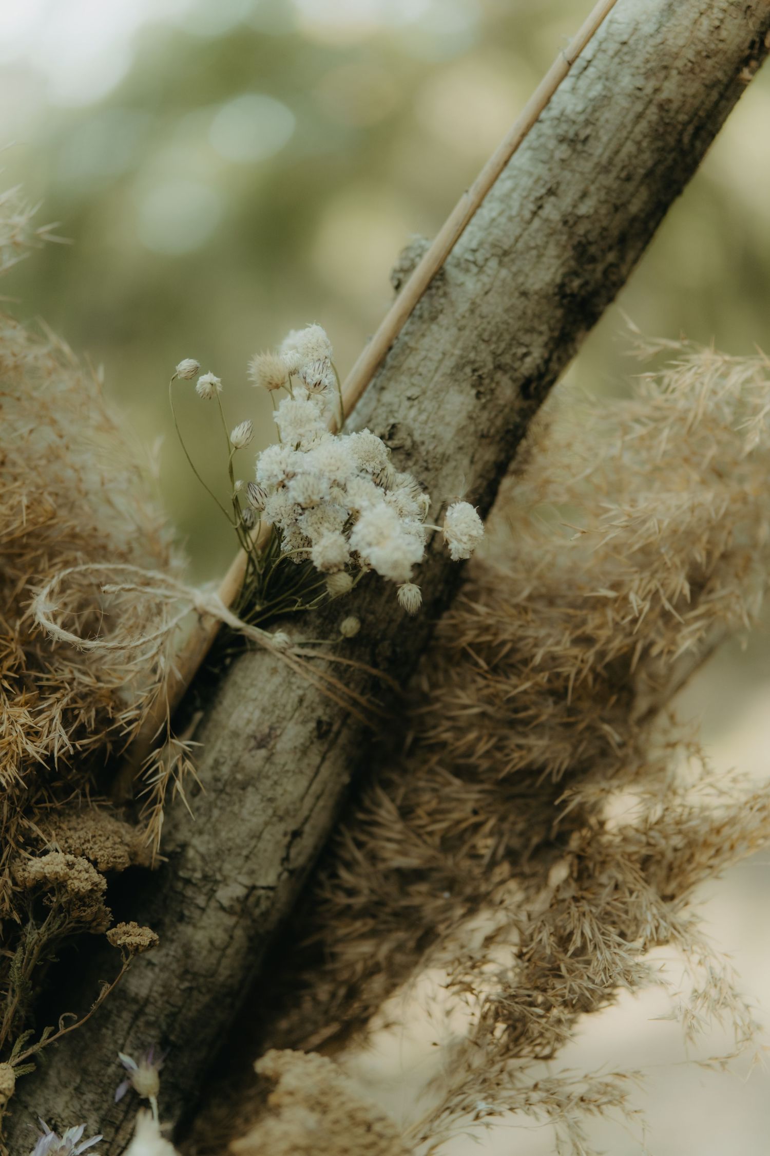 Спокойствие сред горите на България. Bulgarian forest Elopement decorations.