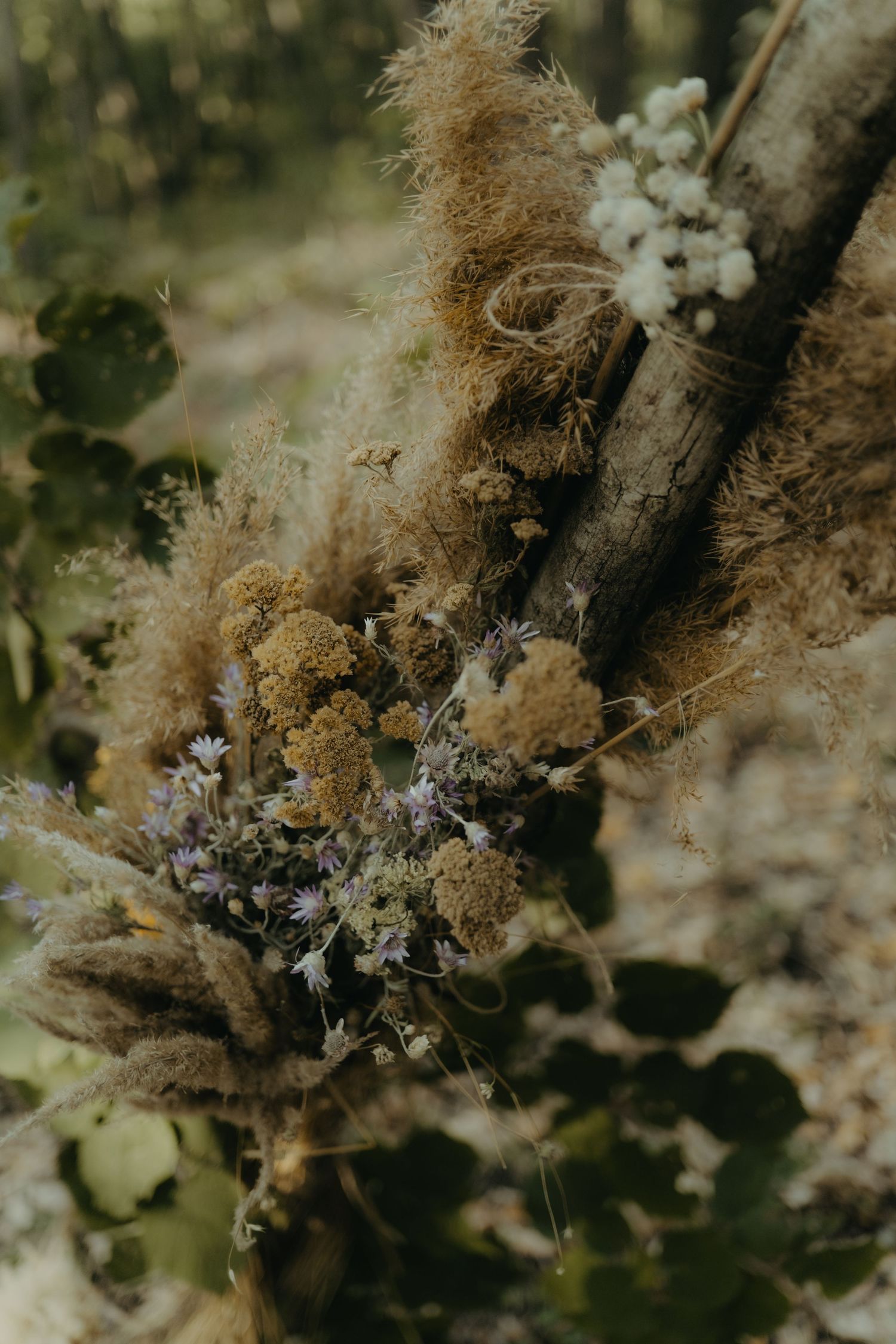 Спокойствие сред горите на България. Bulgarian forest Elopement decorations.