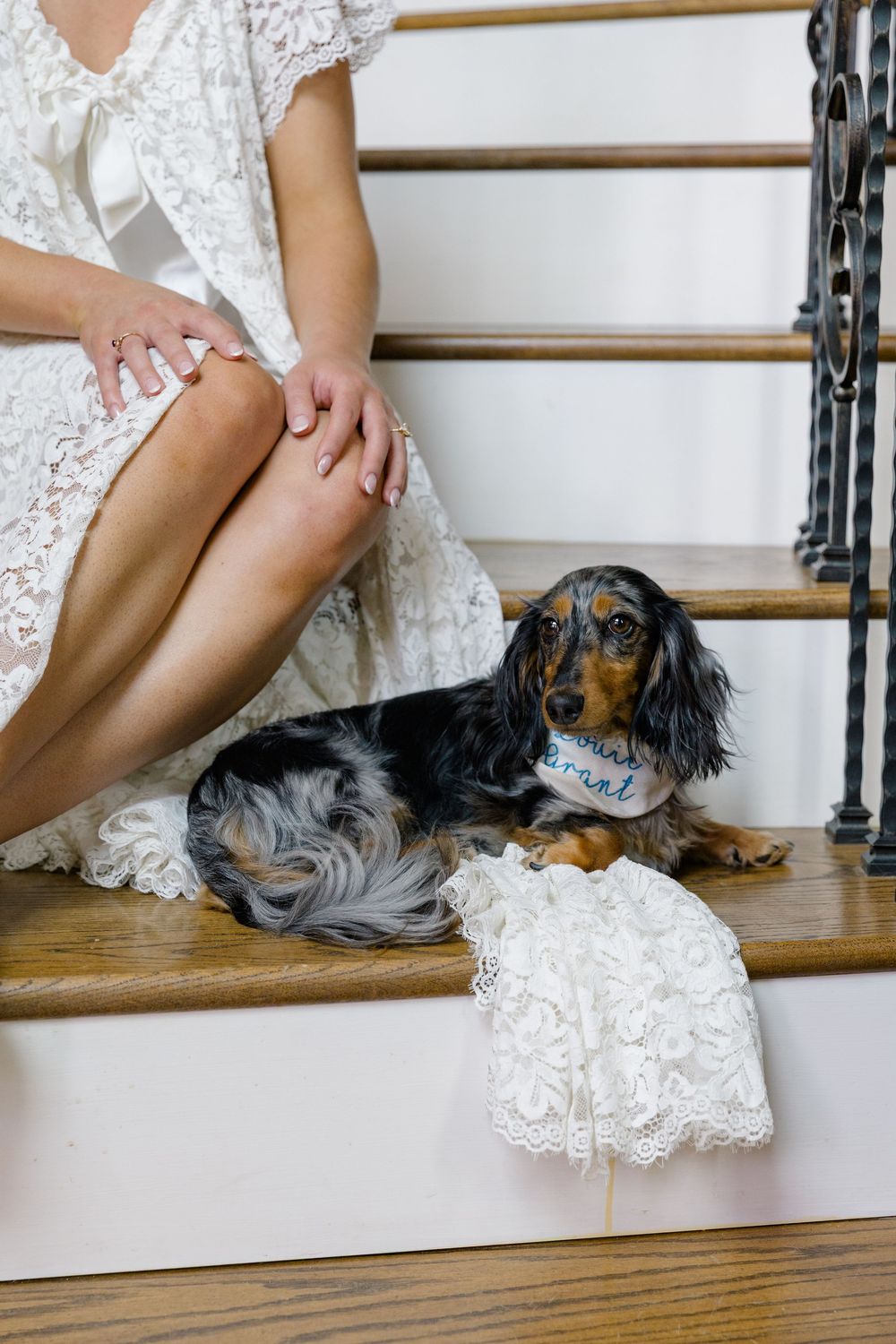 Dachshund flower girl dog wearing a bandana sits on wooden stairs beside a bride in lace dress.