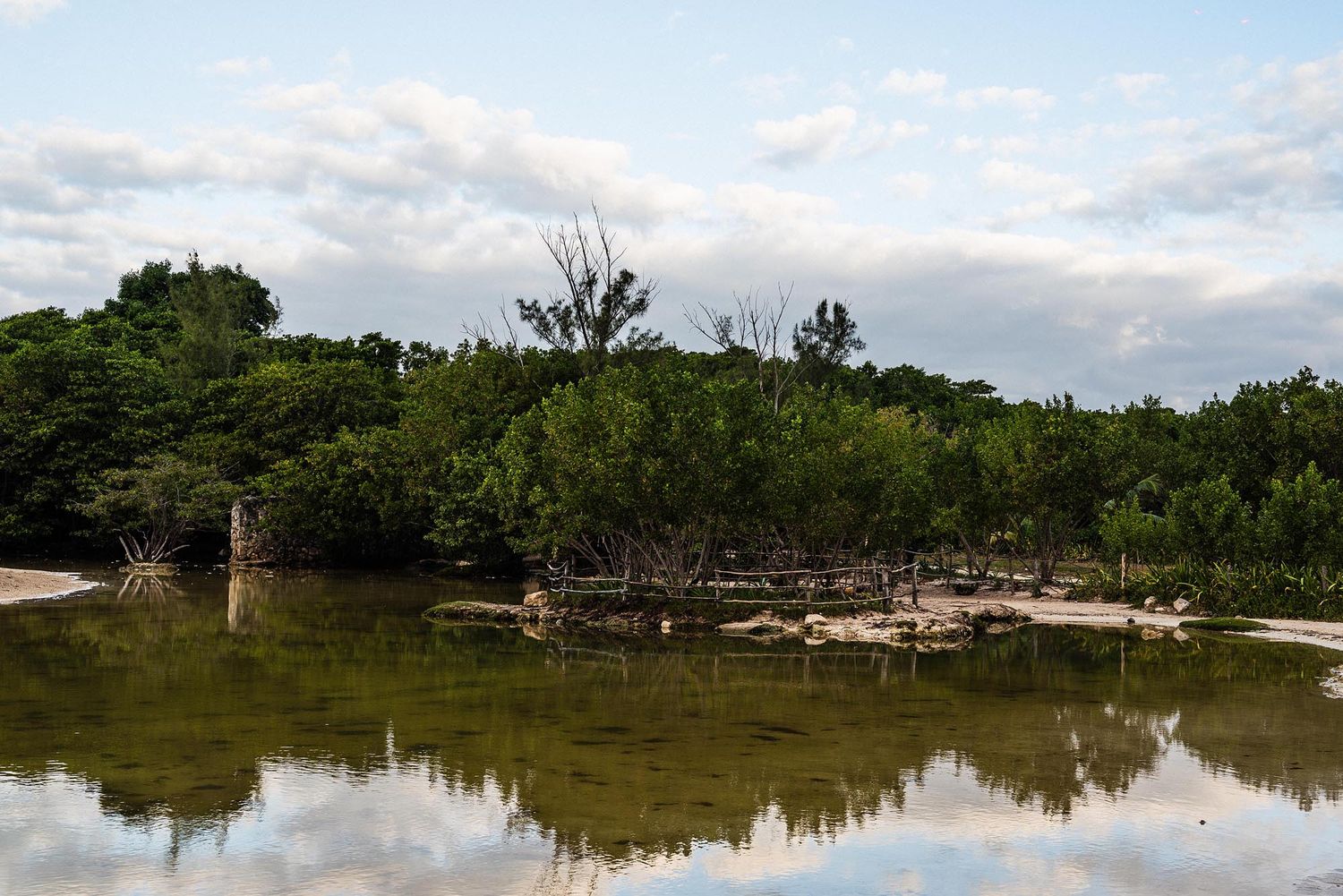 Panoramic view of a mangrove forest and calm waters under cloudy skies in a tropical coastal landscape.