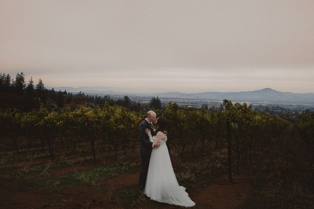 Scenic vineyard landscape with mountains in the distance under an overcast sky.