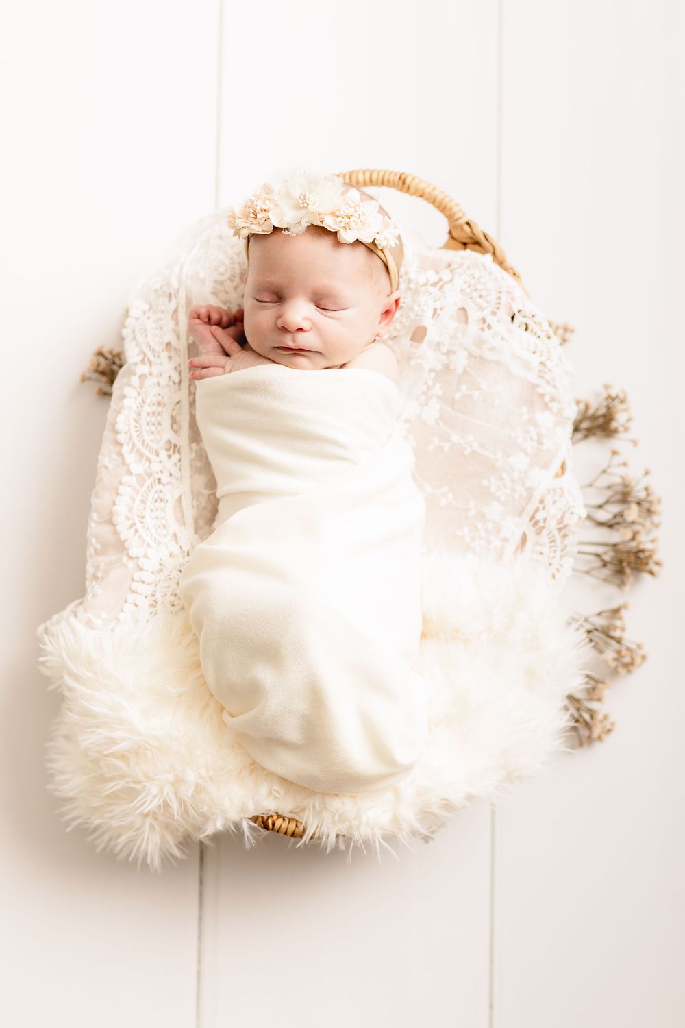 newborn in basket on white