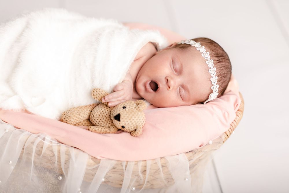 newborn photography at home session new baby studio session basket