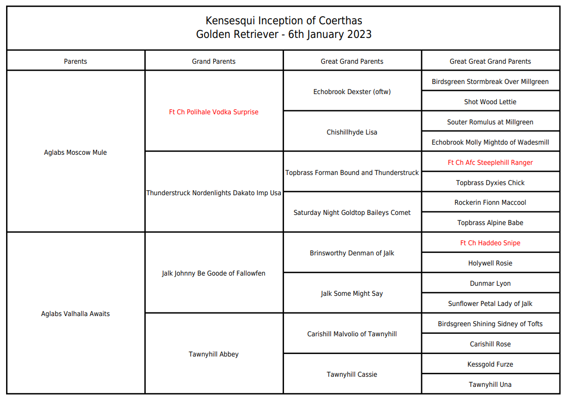 Detailed pedigree documentation form for tracking dog lineage and breeding records.