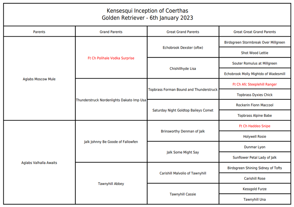 Detailed pedigree documentation form for tracking dog lineage and breeding records.