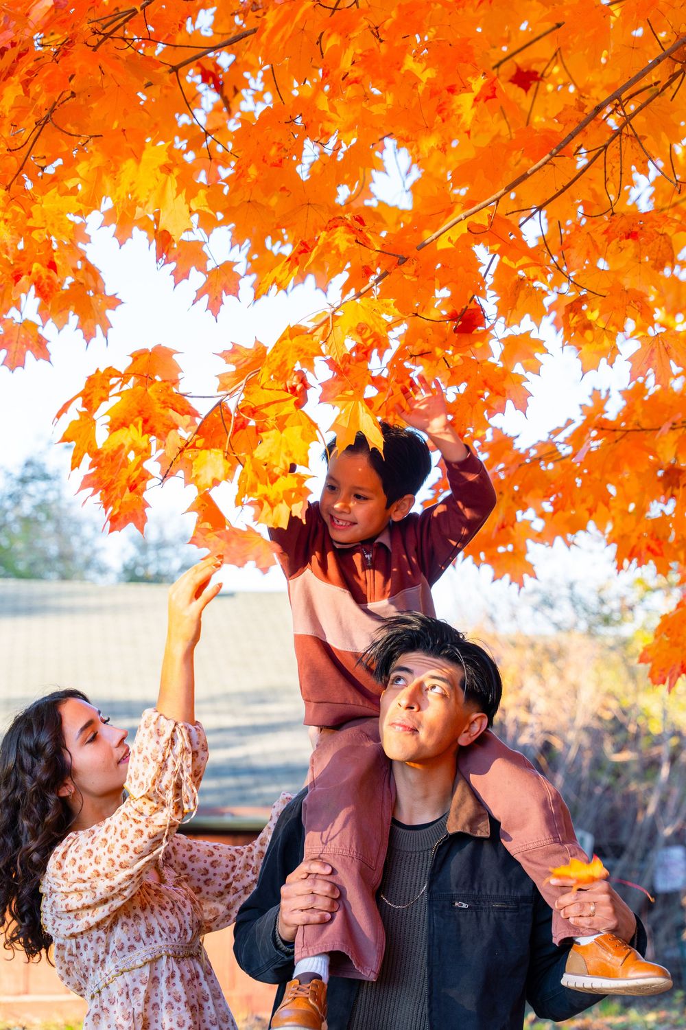 Beautiful Autumn Family Portraits