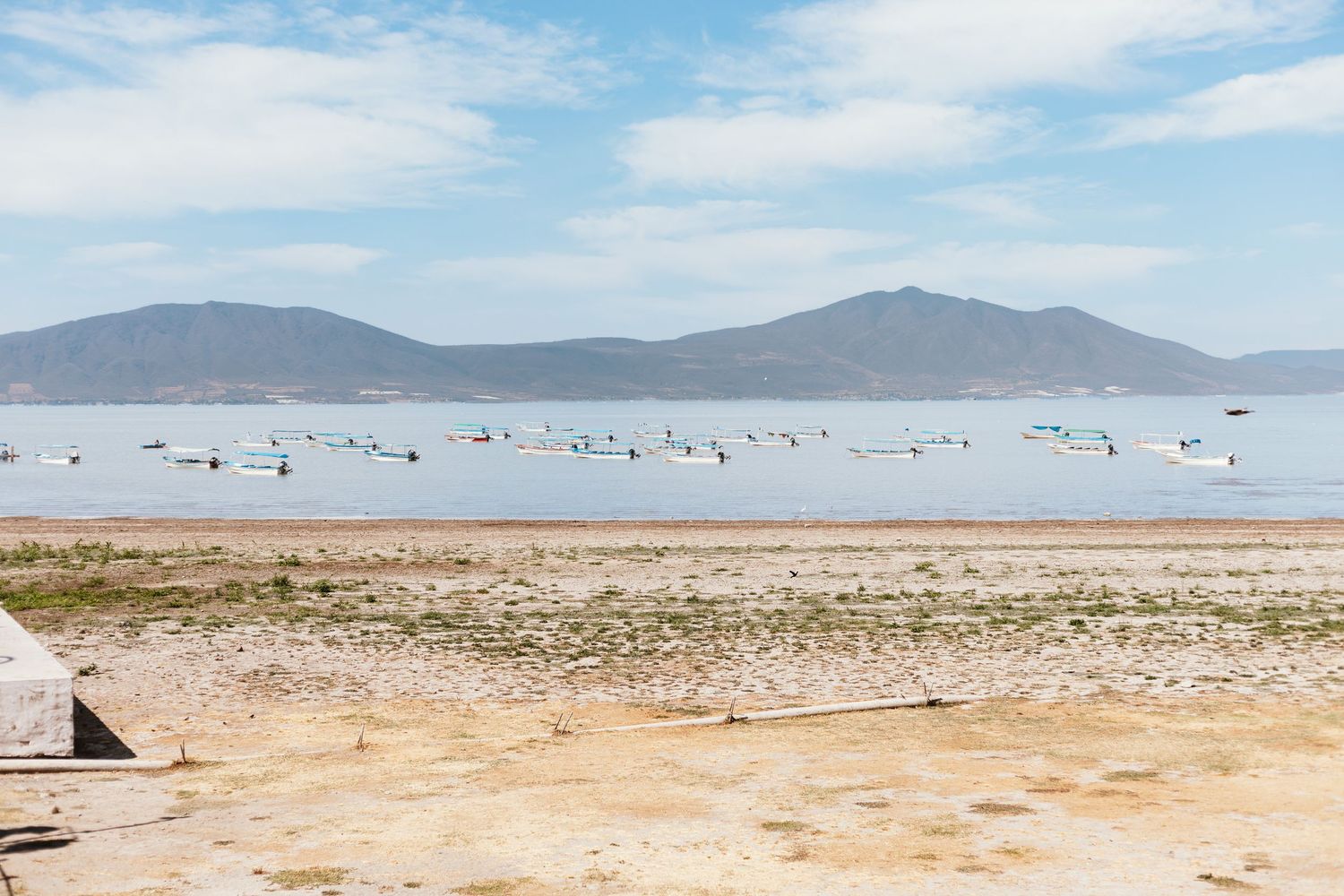 Desert salt flats with mountains in background and scattered birds.