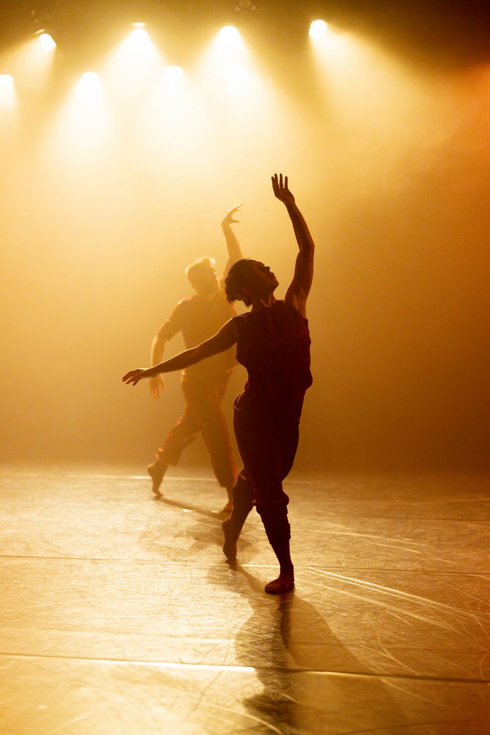 Silhouettes of dancers moving gracefully under golden stage lighting create a dreamy atmosphere.