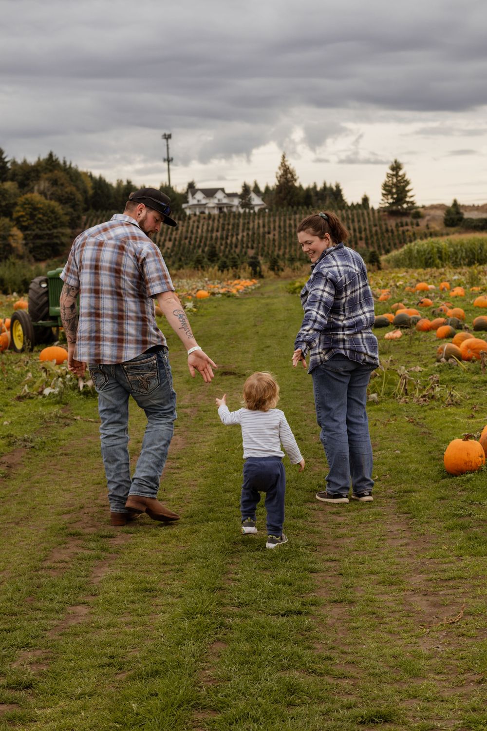 Young family walking through pumpkin patch path, toddler reaching for parents hands from behind.