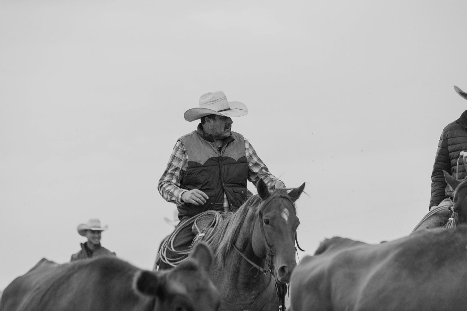 Ranch Photography