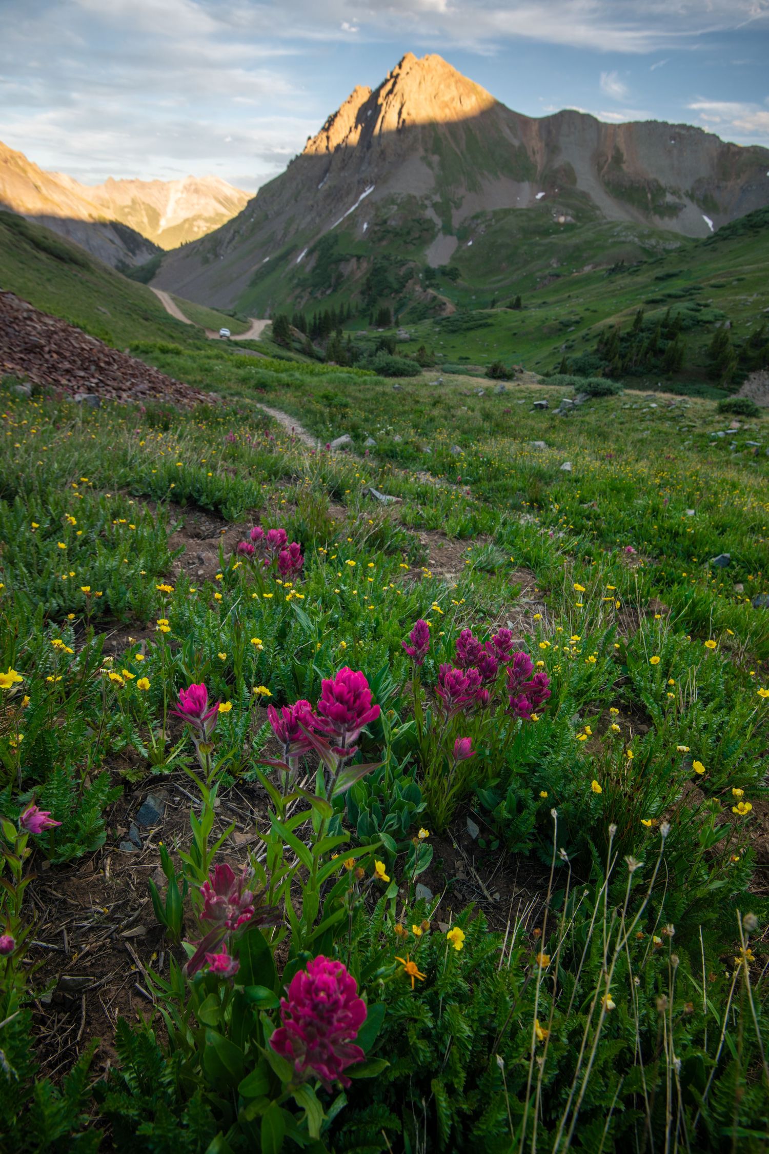 Pink wildflowers bloom in a lush alpine meadow with a dramatic rocky mountain peak glowing in golden sunset light.
