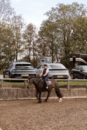 Rider on dark horse trotting in sandy arena with parked cars and trees in background.