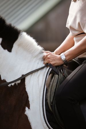 Close-up of a rider's hands holding reins on a brown and white pinto horse with a leather saddle.
