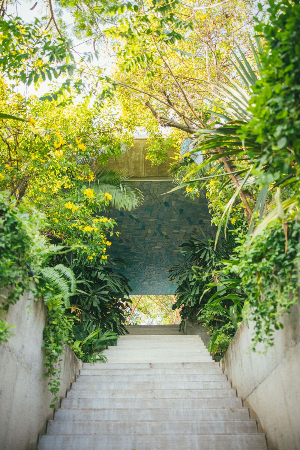 Concrete steps leading upward surrounded by lush green foliage and trees.