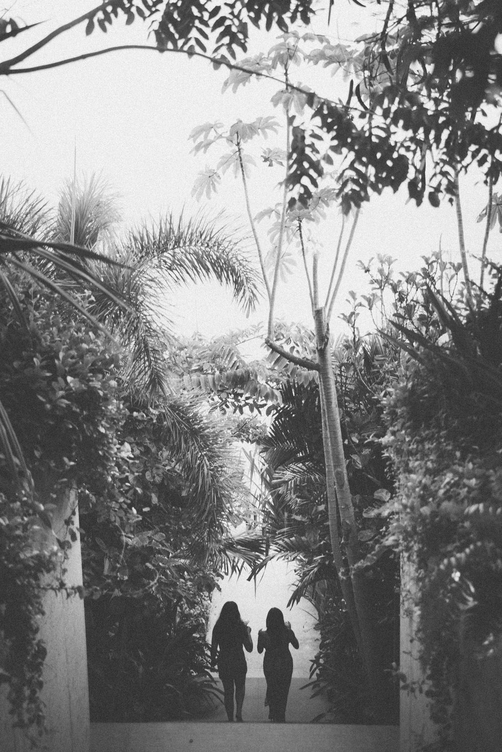 Silhouettes of people walking through a tropical garden path with palm trees.