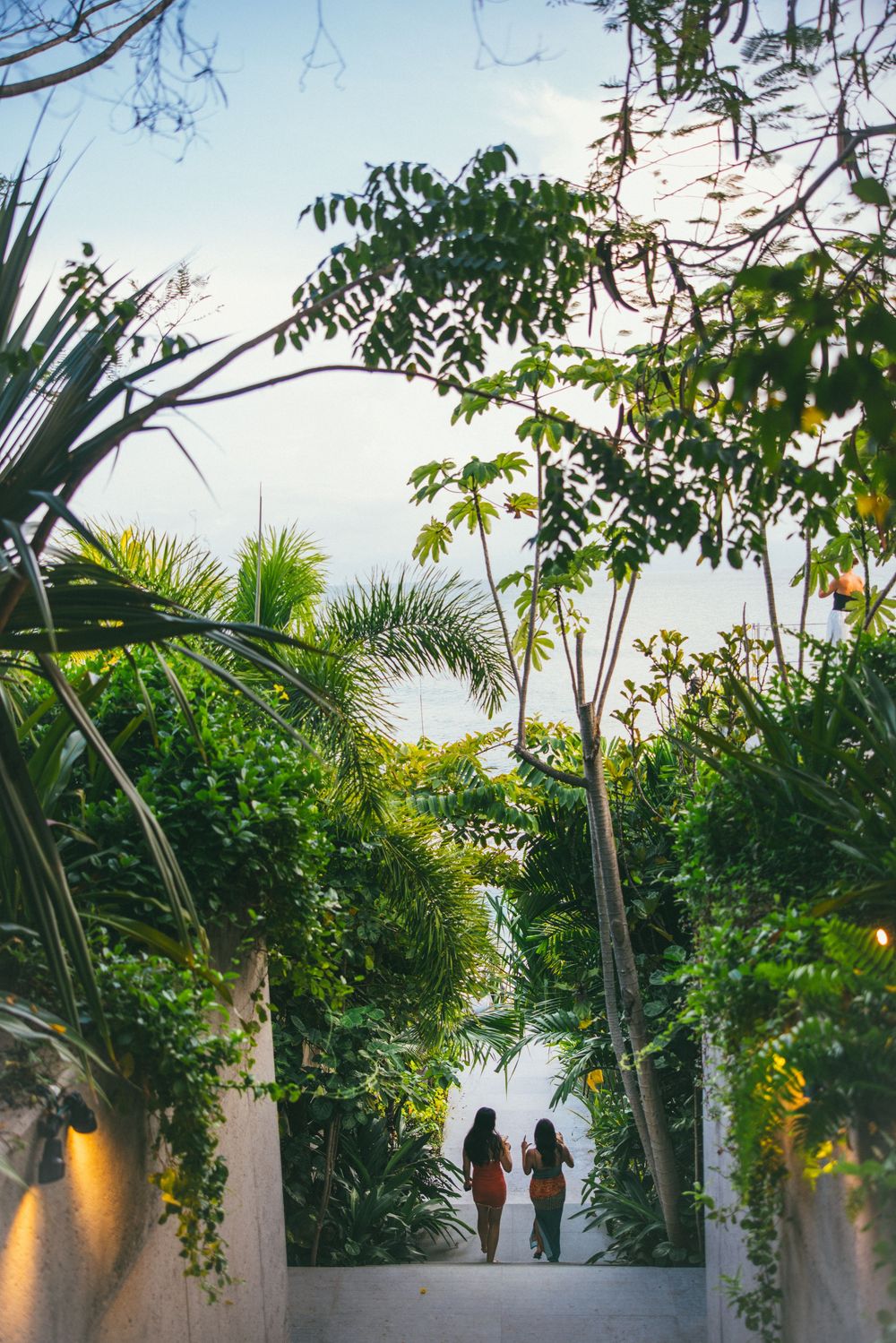 Lush tropical garden pathway with palm trees and greenery against white walls at sunset.