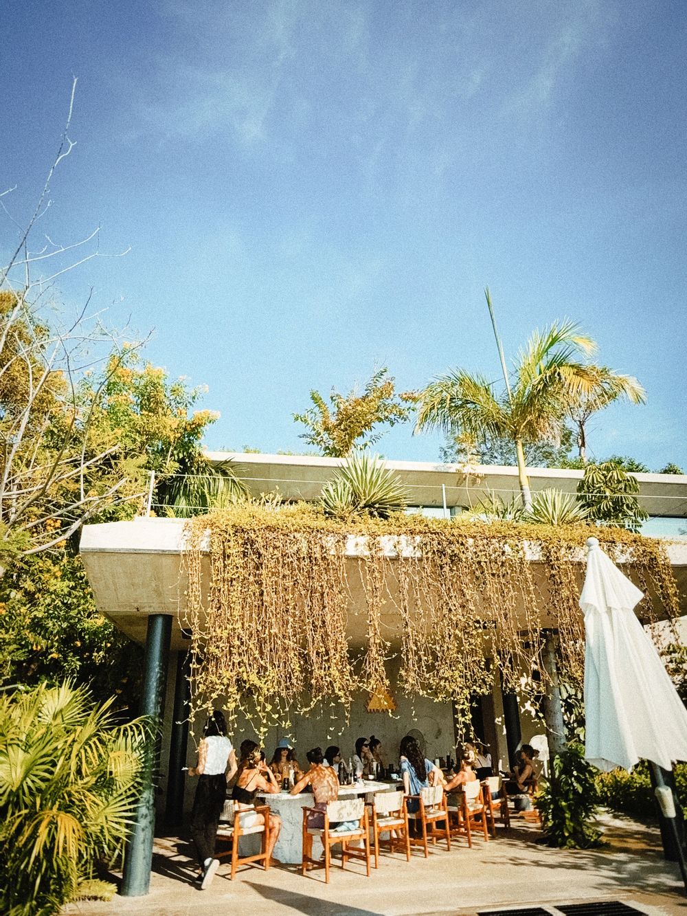 Outdoor patio area with thatched roof covering and wooden chairs arranged in rows.