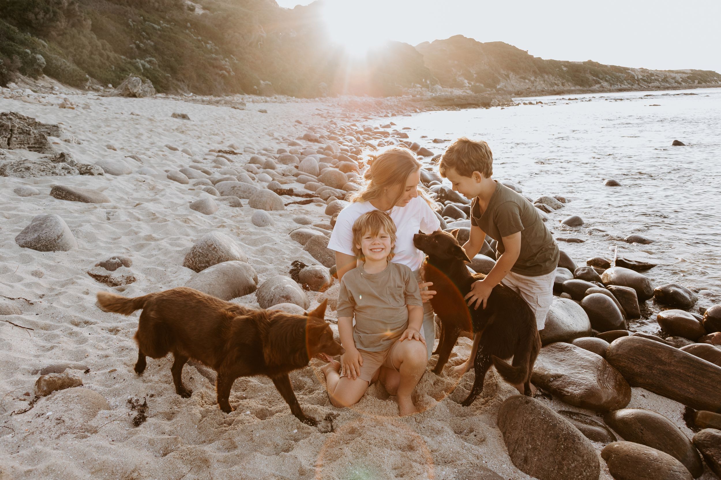A dog and people enjoy a playful moment together on a rocky beach at sunset.
