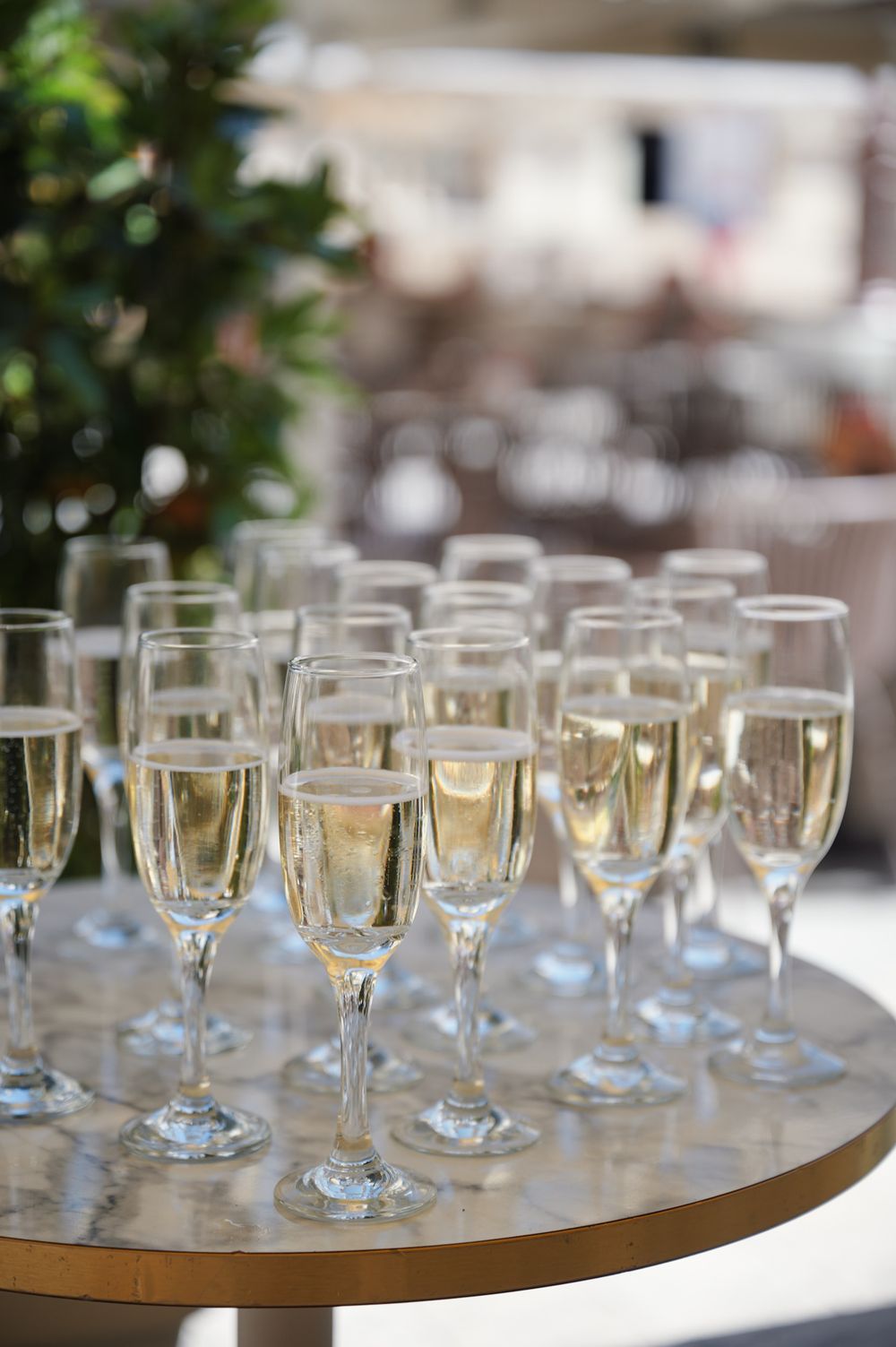 Rows of empty champagne glasses arranged on elegant table setting for wedding reception.