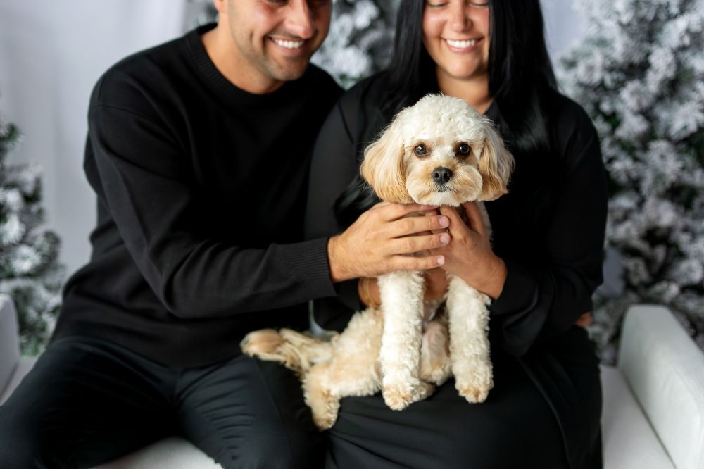 Happy couple in black outfits sitting together holding a cute cream Cavapoo dog in a winter holiday setting.