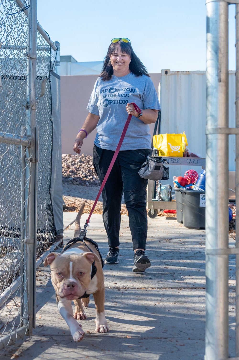 Woman in gray t-shirt walking a brown and white pit bull terrier on a red leash through a shelter gate.