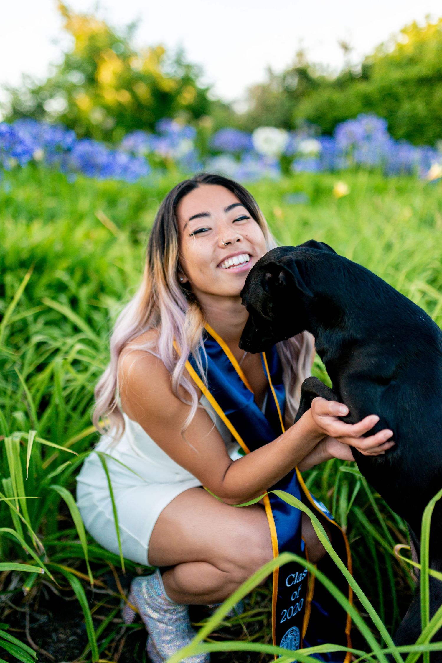 A black Labrador and companion share joyful moments while laying in a grassy field with blue wildflowers.