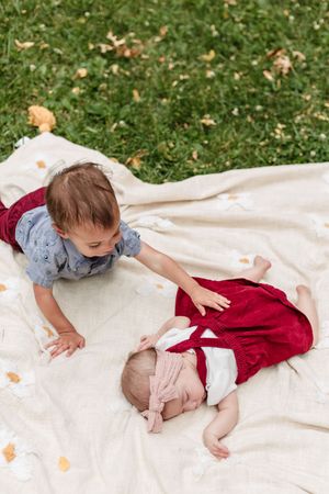 A toddler in denim and burgundy clothing rolls playfully on a white blanket spread over grass with autumn leaves.