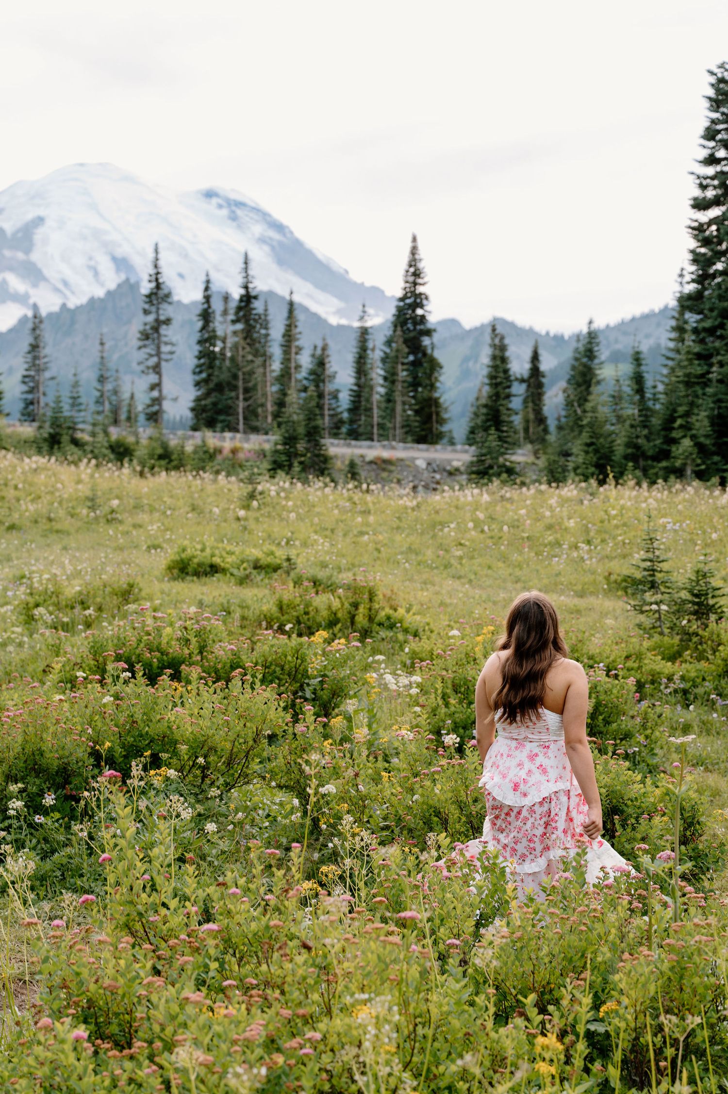 Mountain senior pictures in Washington at Mt Rainier