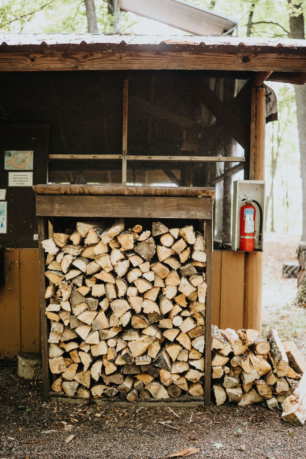 Neatly stacked firewood piles arranged under a rustic wooden shelter in a forest setting.
