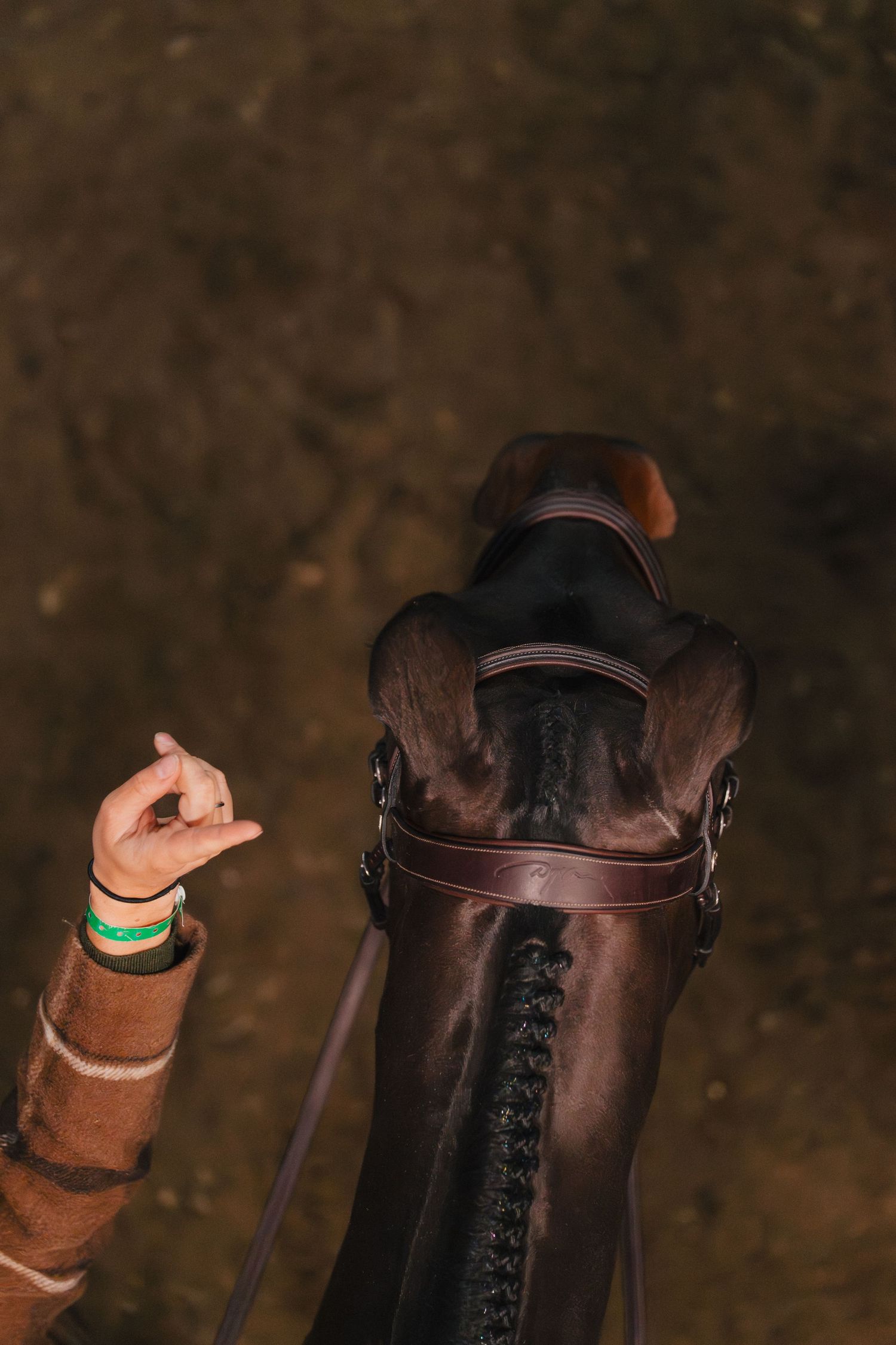 Close-up of brown leather riding boots with laces and decorative stitching against a dark background.