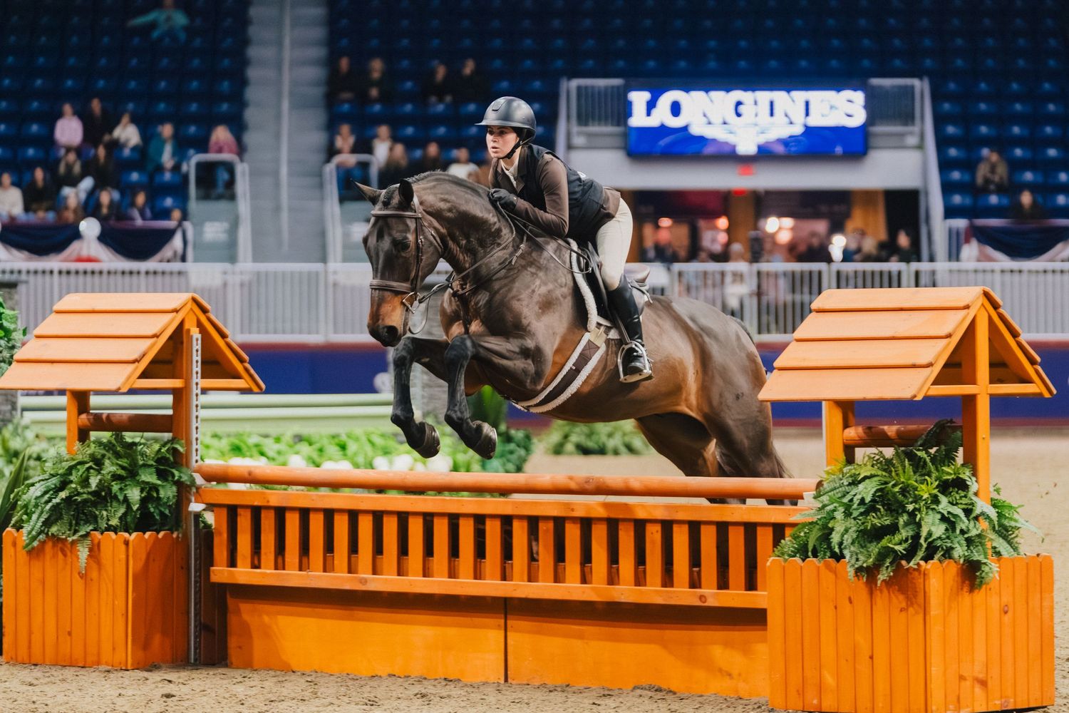 An equestrian and brown horse leap over an orange jump during an indoor competition with Longines signage visible.