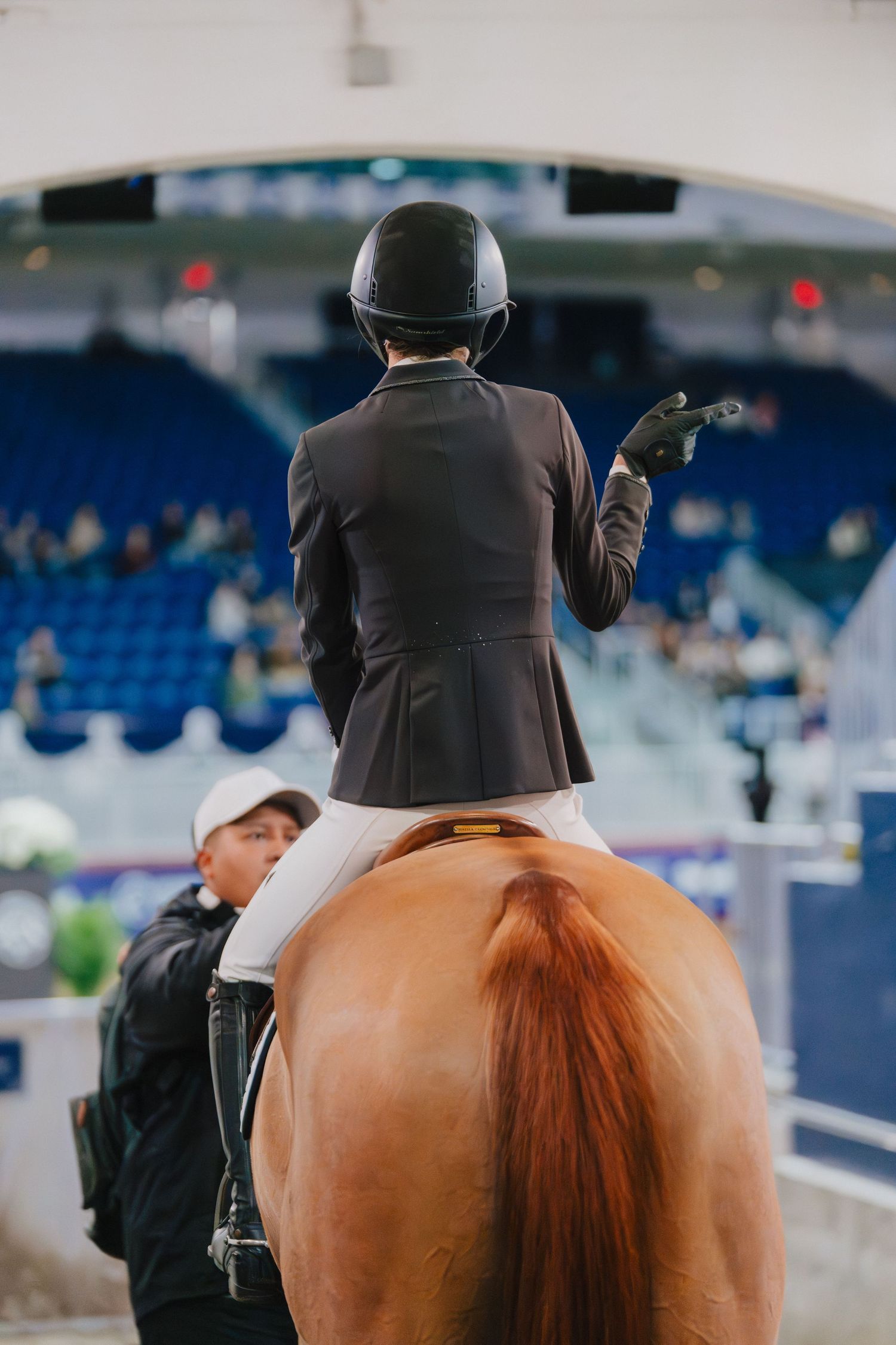 An equestrian rider in formal attire sits atop a chestnut horse in a stadium with blue seats.