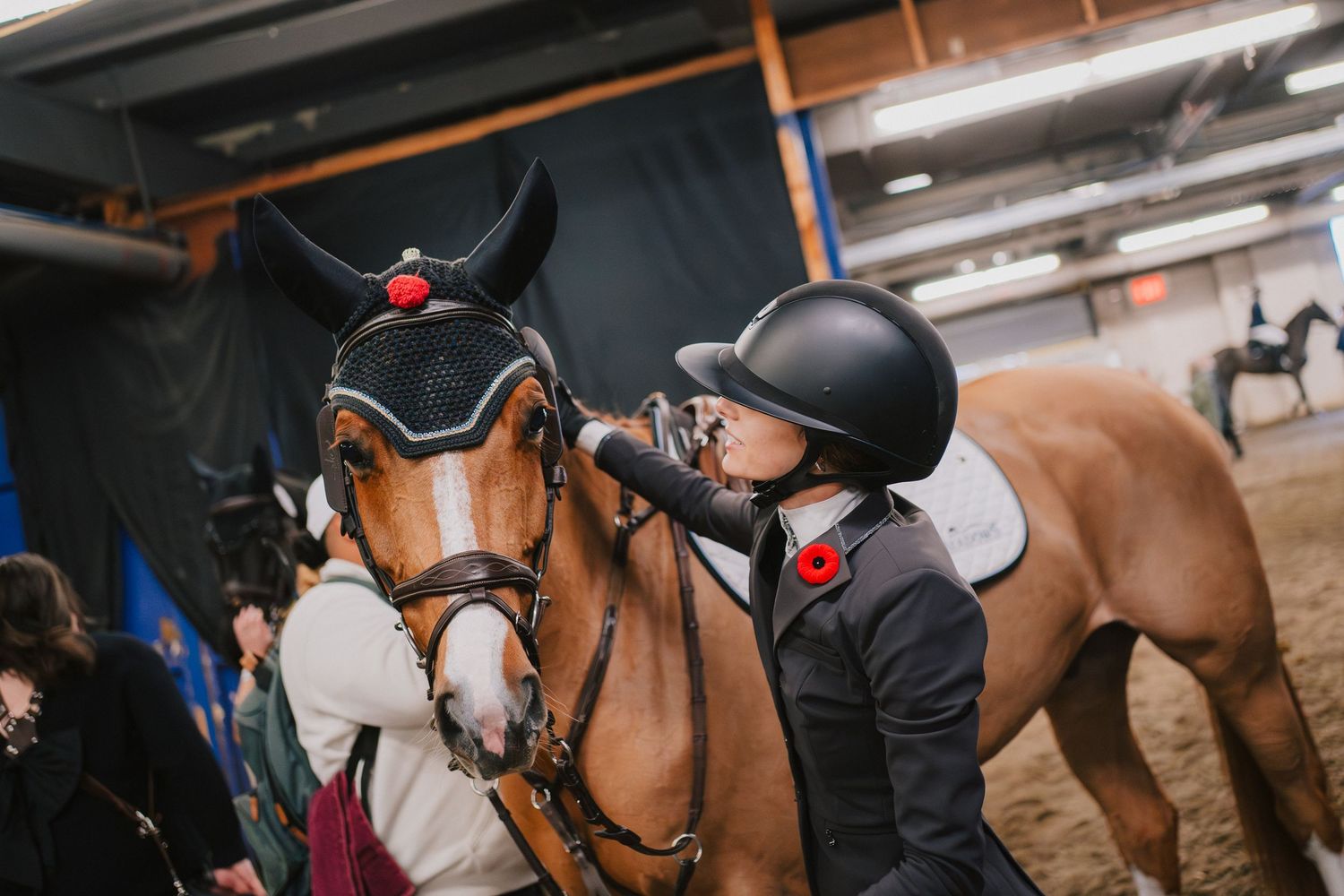 A chestnut horse being prepared for riding with a black helmet and tack equipment in a stable setting.