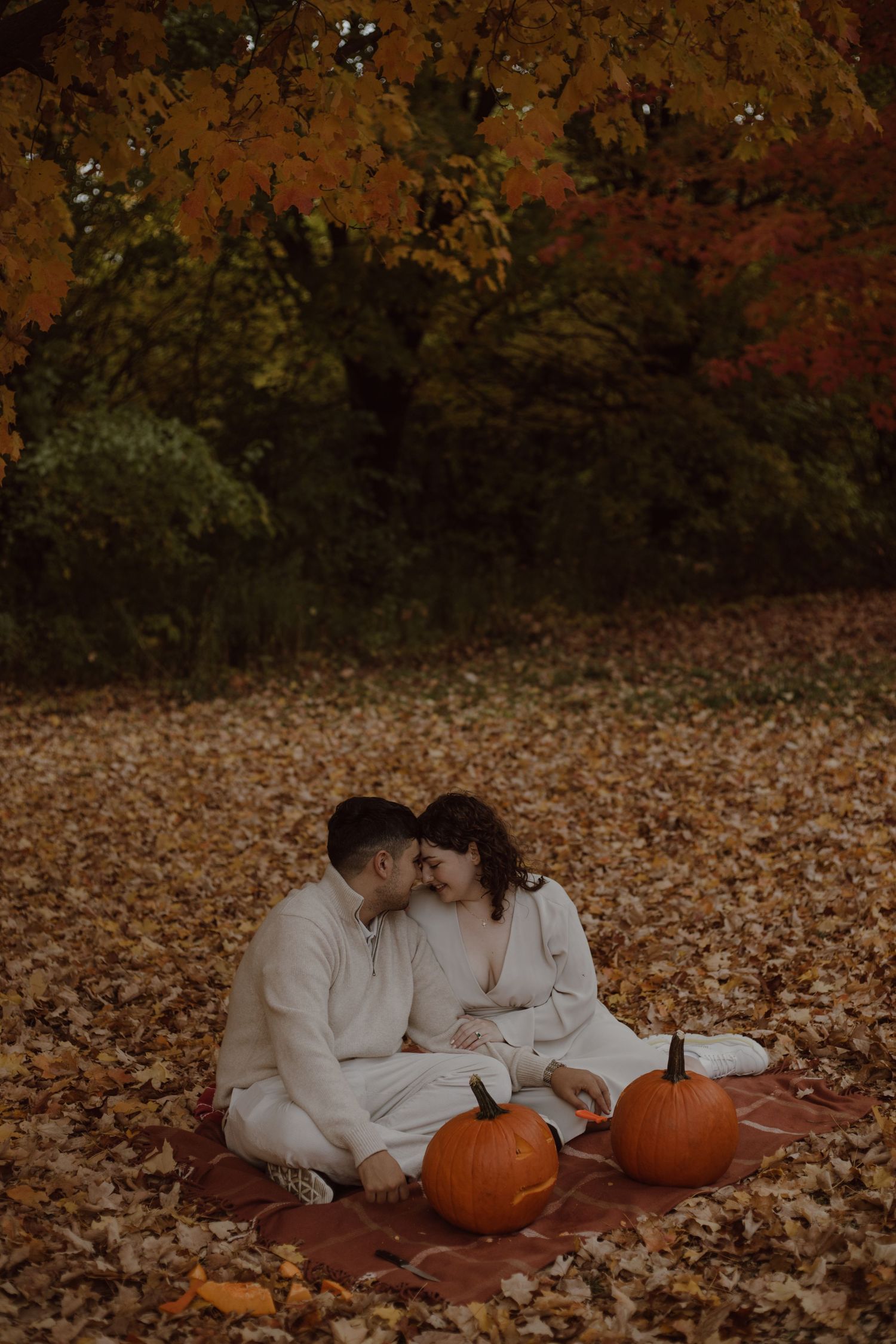 Couple snuggle up under a tree while carving pumpkins during their fall engagement session. Surrounded by leaves.