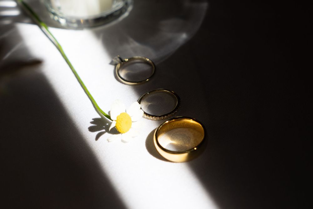 Three wedding rings arranged in sunlight with a small yellow flower and dramatic shadows.
