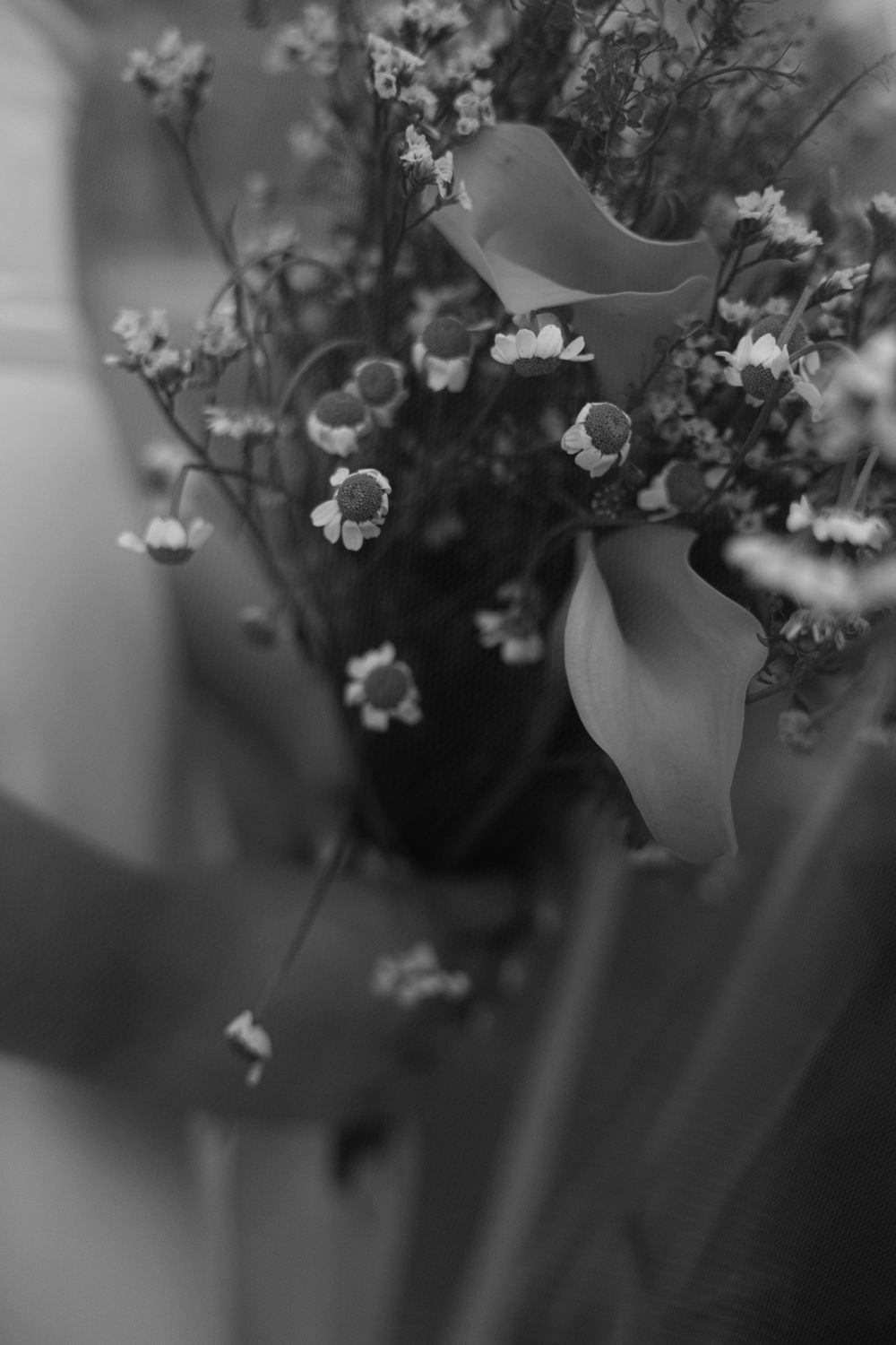 Delicate white baby's breath flowers create a soft, dreamy bokeh effect in black and white photography.