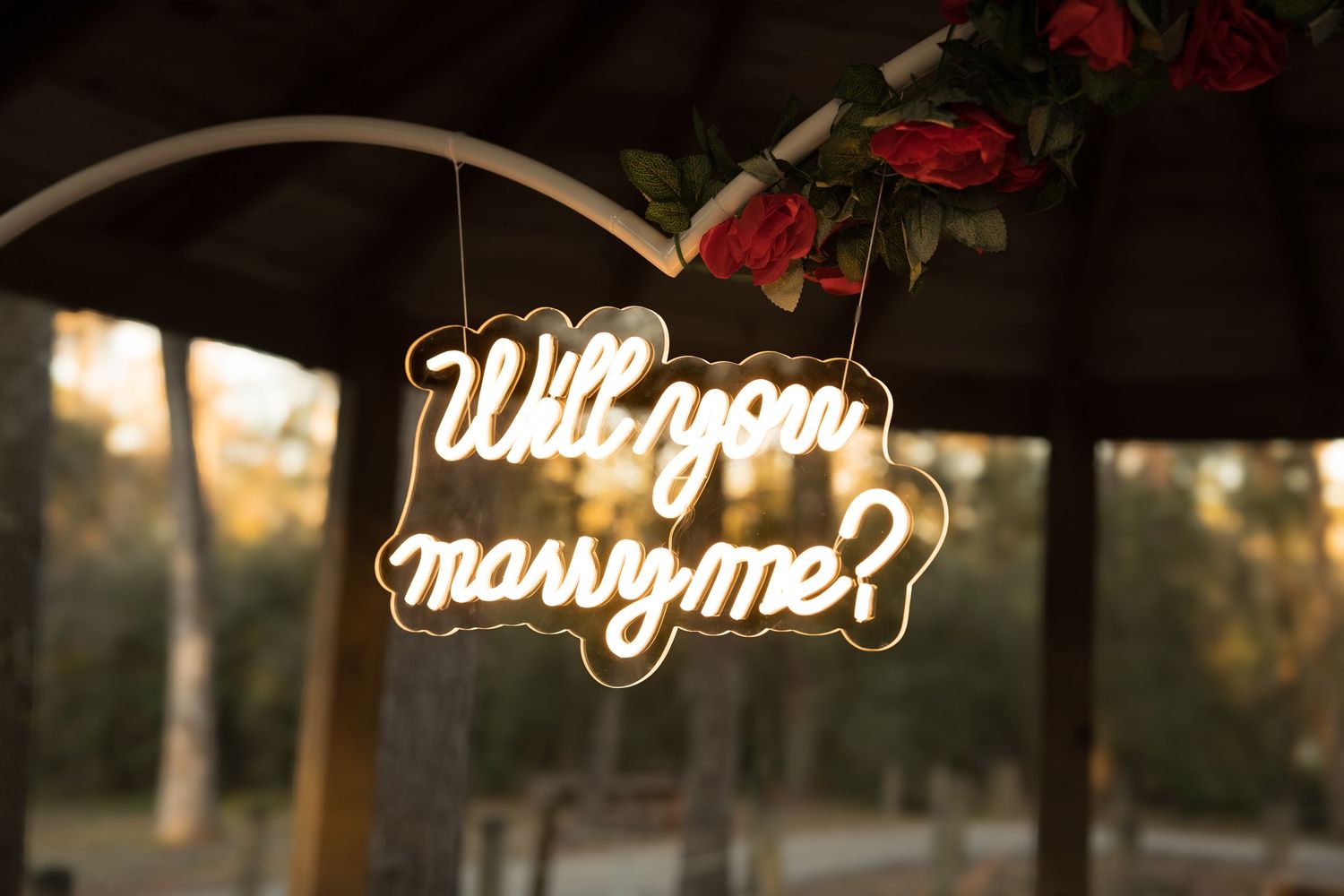 Illuminated neon signs spelling out 'will you marry me' create a romantic proposal display at sunset.