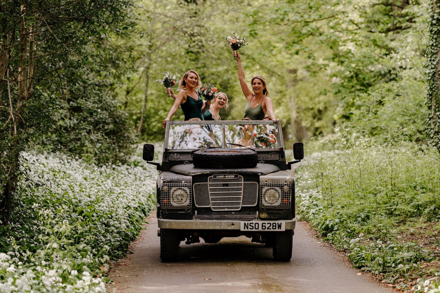 Vintage black car driving down a tree-lined country road.