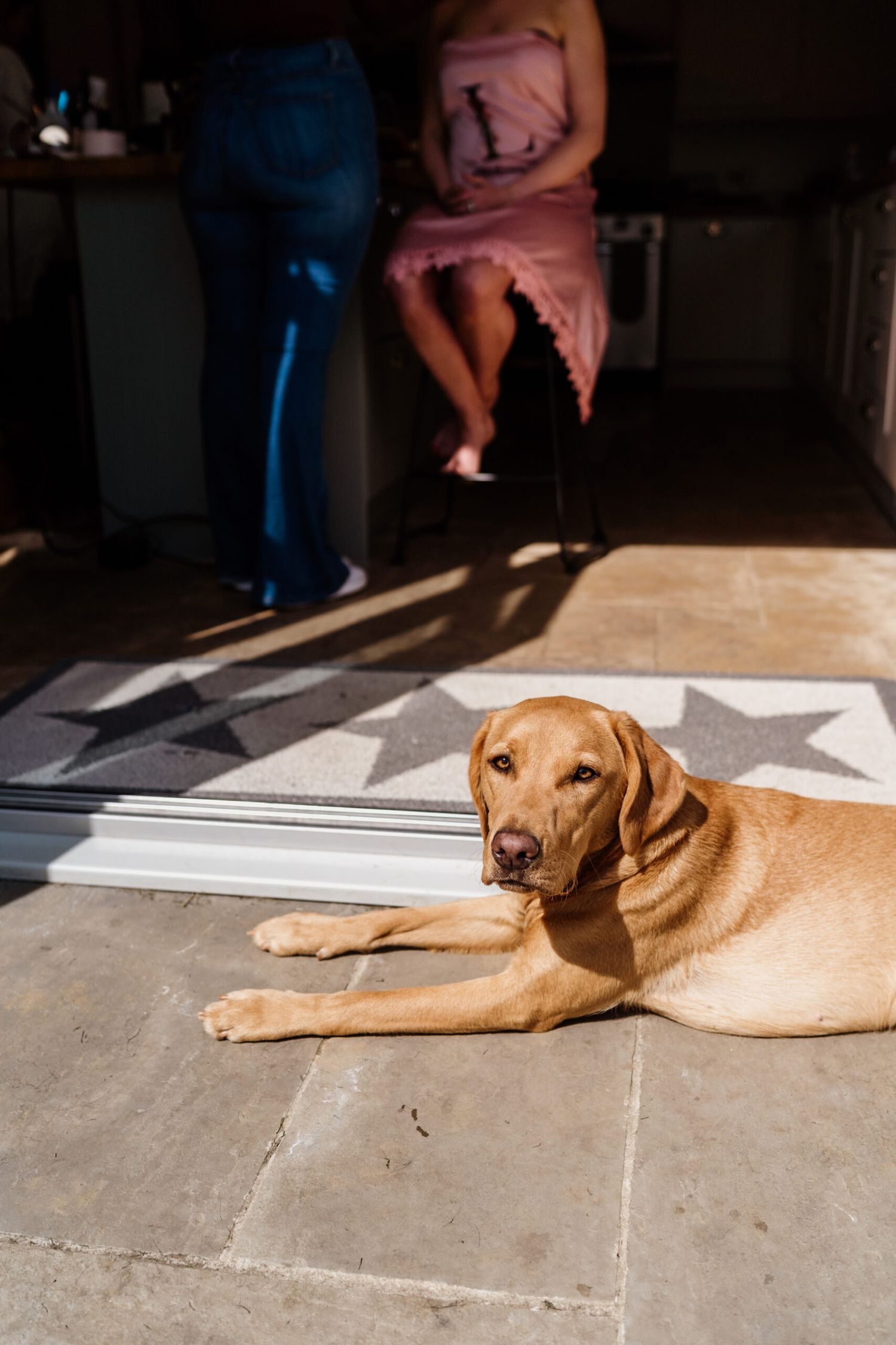 Golden Labrador dog relaxing in sunlight on stone floor.