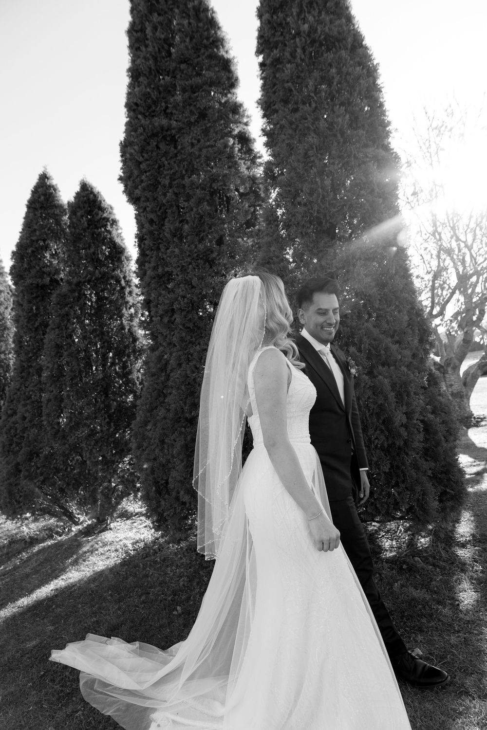 A black and white wedding photo of a couple standing among tall cypress trees with sunlight filtering through.