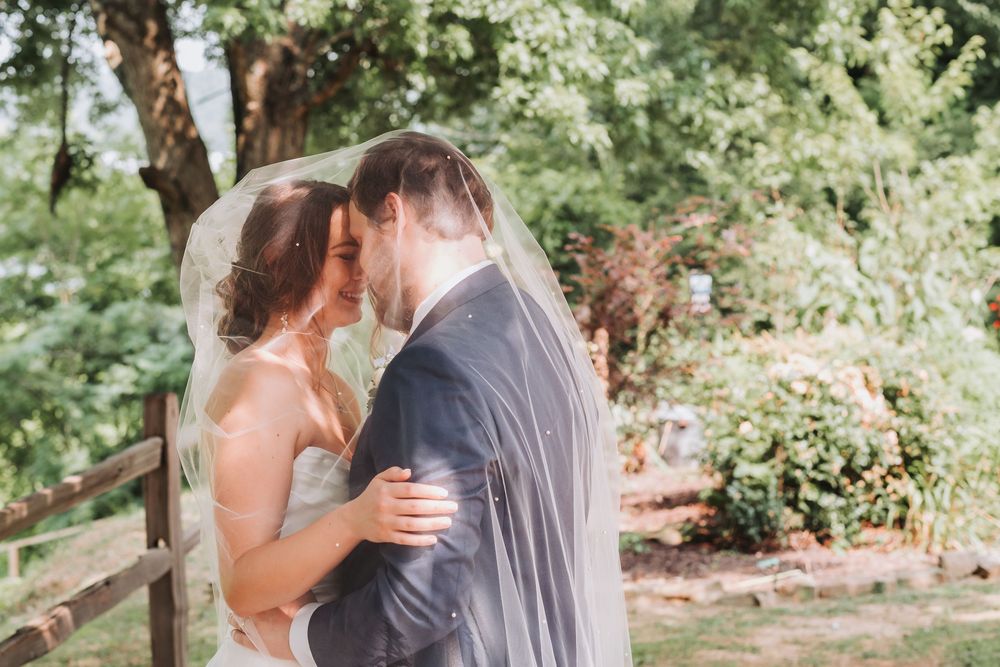 A couple shares an intimate kiss outdoors in a garden setting with lush greenery and natural lighting.
