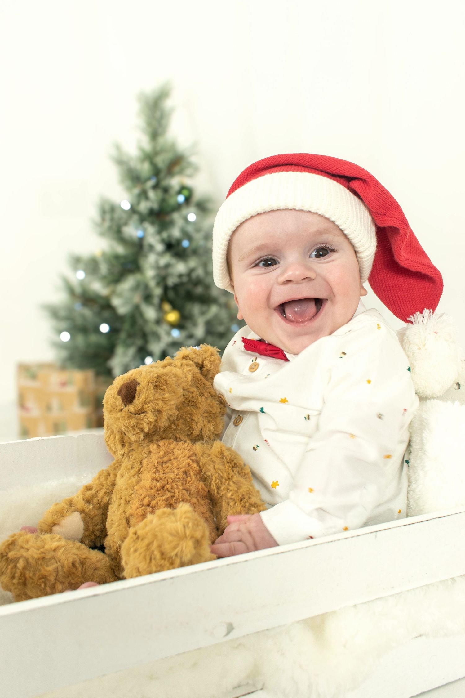 Christmas themed baby photos with teddy bears and santa hat in white wooden crate.
